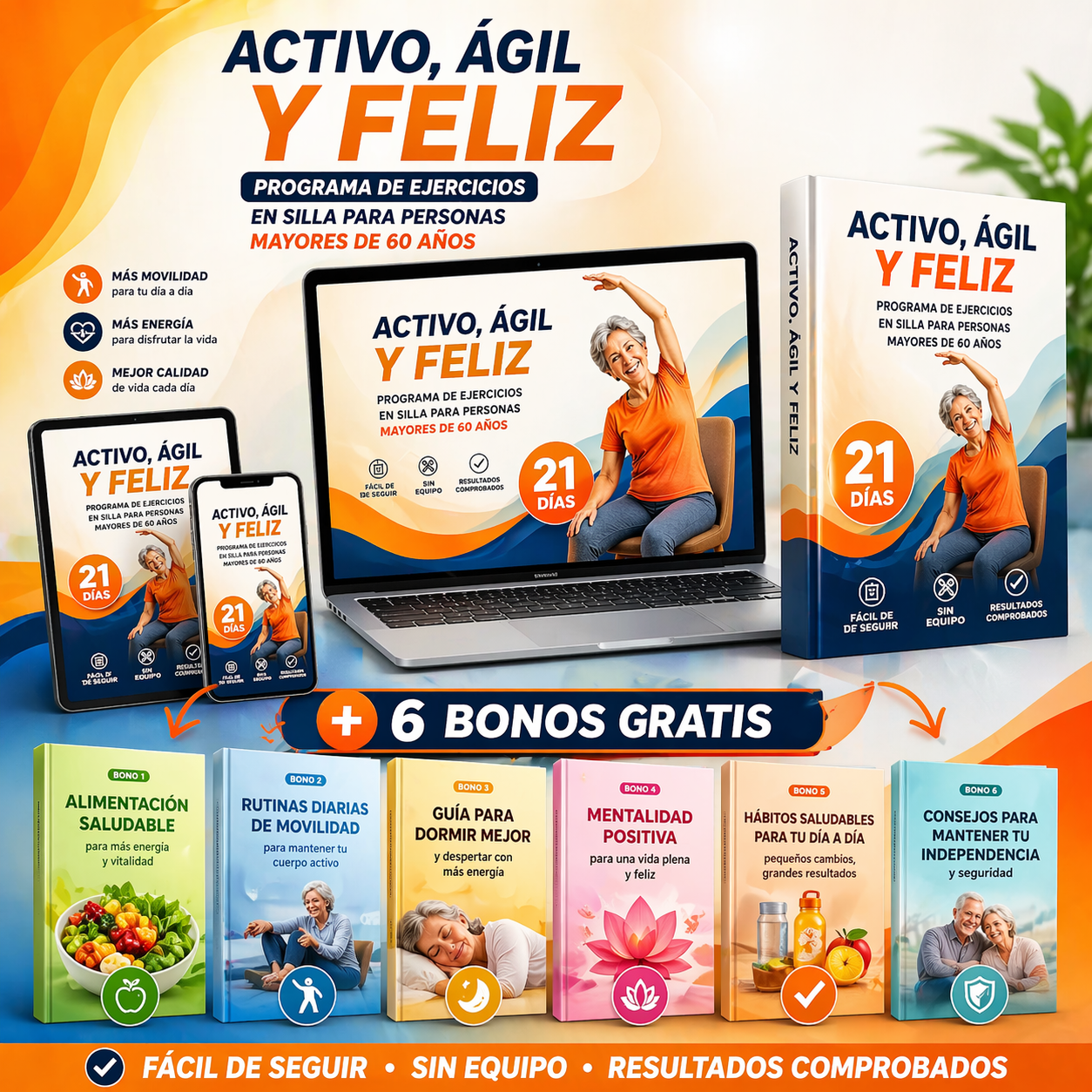 Ejercicios en Silla